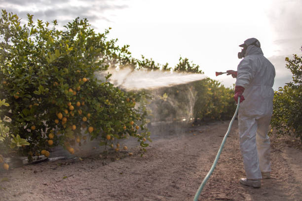 Campo, CA Pest Control Company